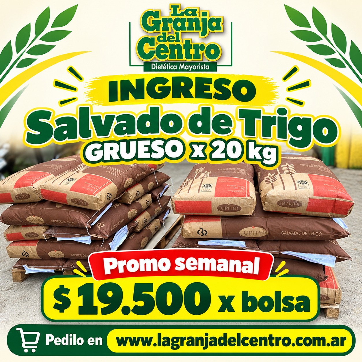 Ofertas y Promociones Salvado de Trigo GRUESO x 20 kg PROMO SEMANAL